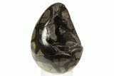 Septarian Dragon Egg Geode - Black Crystals #304620-1